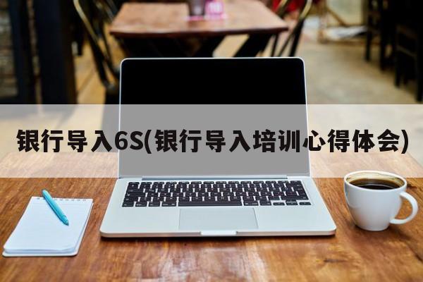 银行导入6S(银行导入培训心得体会)